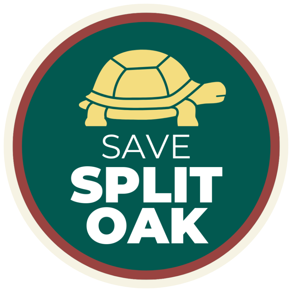 Save Split Oak